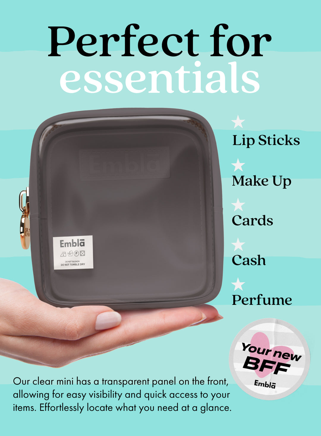 Clear Mini Grey Pouch